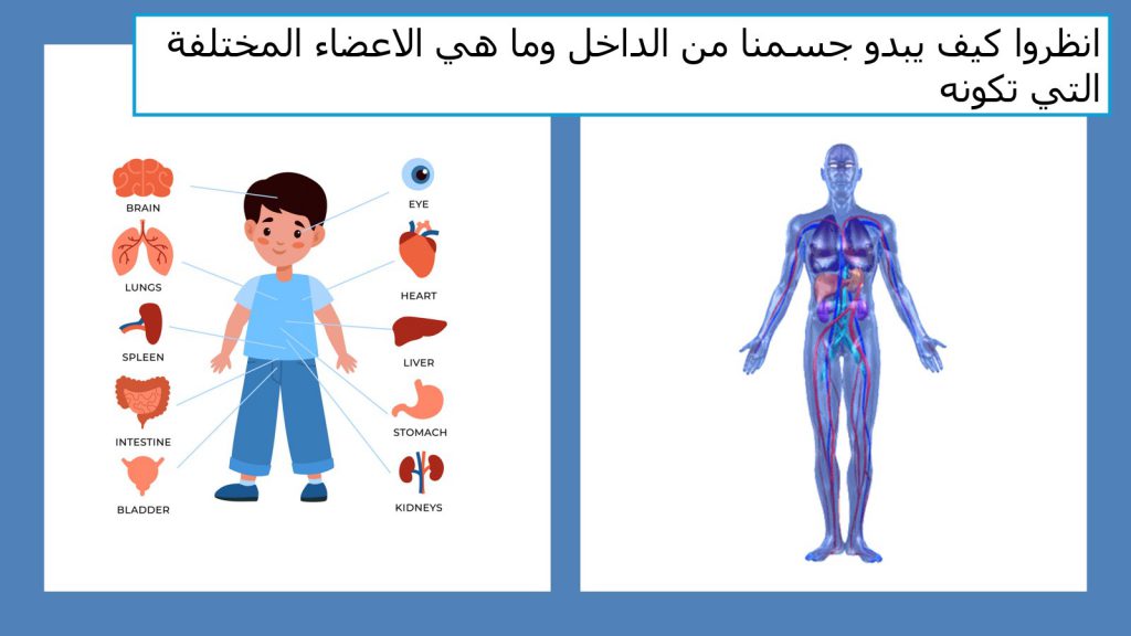 رحلة للتعرف على جسم الانسان by Arees Zidan - Illustrated by أريس زيدان - Ourboox.com