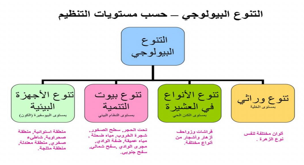 الأنظمة البيئية by nora sh - Illustrated by  المعلمة نورا شبلي  - Ourboox.com