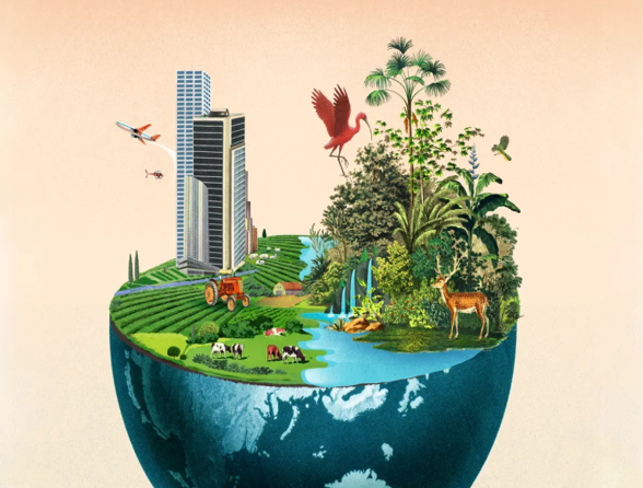 الأنظمة البيئية by nora sh - Illustrated by  المعلمة نورا شبلي  - Ourboox.com