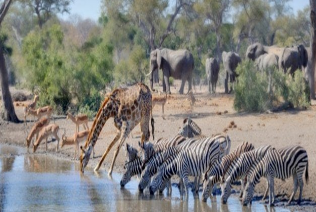 الأنظمة البيئية by nora sh - Illustrated by  المعلمة نورا شبلي  - Ourboox.com