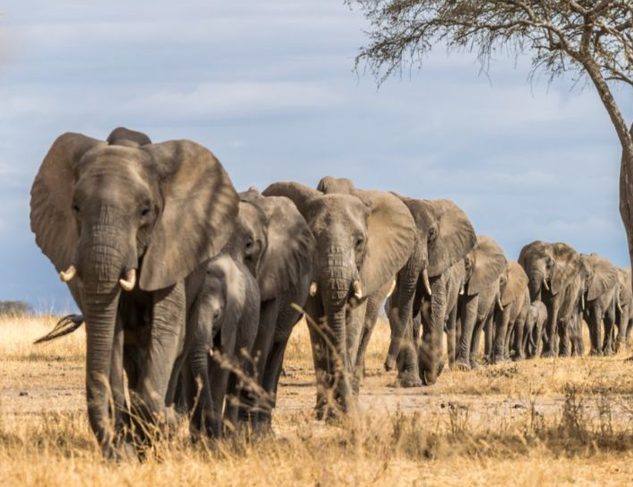 الأنظمة البيئية by nora sh - Illustrated by  المعلمة نورا شبلي  - Ourboox.com