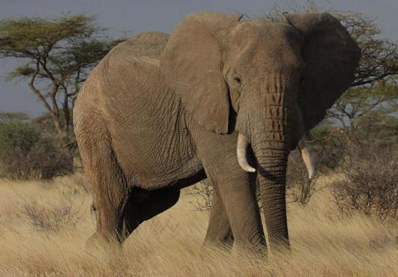 الأنظمة البيئية by nora sh - Illustrated by  المعلمة نورا شبلي  - Ourboox.com