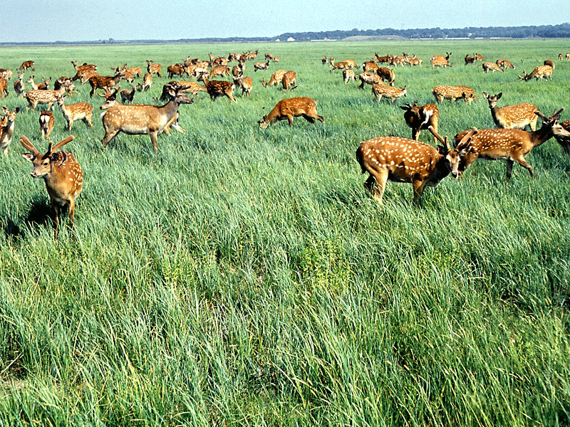 Цікаві факти про Україну, географія by Tatiana - Ourboox.com