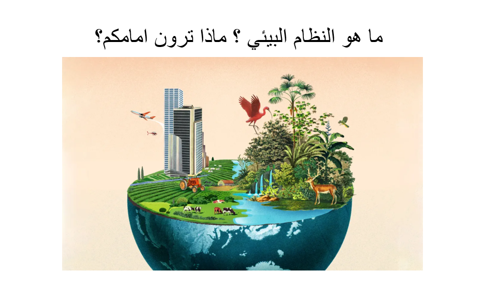 الأنظمة البيئية by nora sh - Illustrated by  المعلمة نورا شبلي  - Ourboox.com