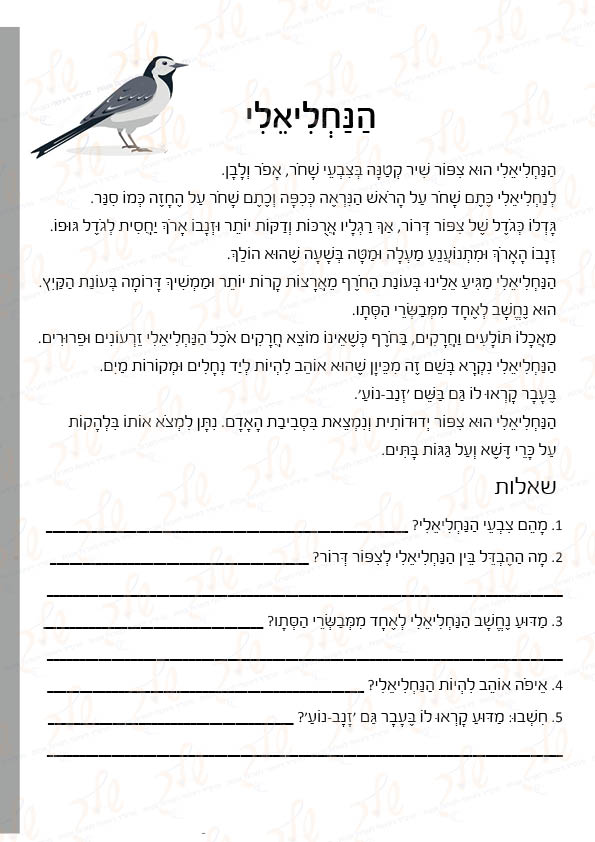 עברית הבנת הנקרא by jomah - Ourboox.com