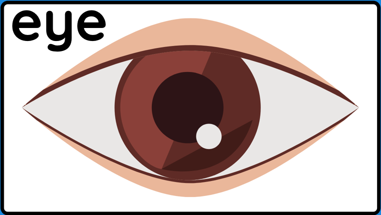 body parts by Yosef Elbedour - Ourboox.com