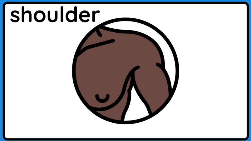 body parts by Yosef Elbedour - Ourboox.com