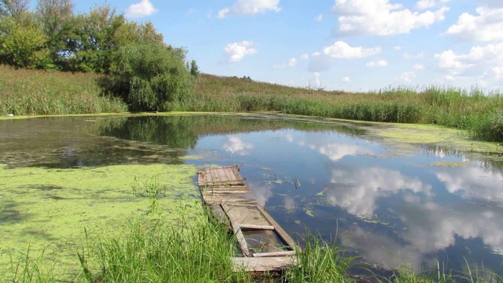 Словник “Лісова пісня” by Oleksandr - Ourboox.com