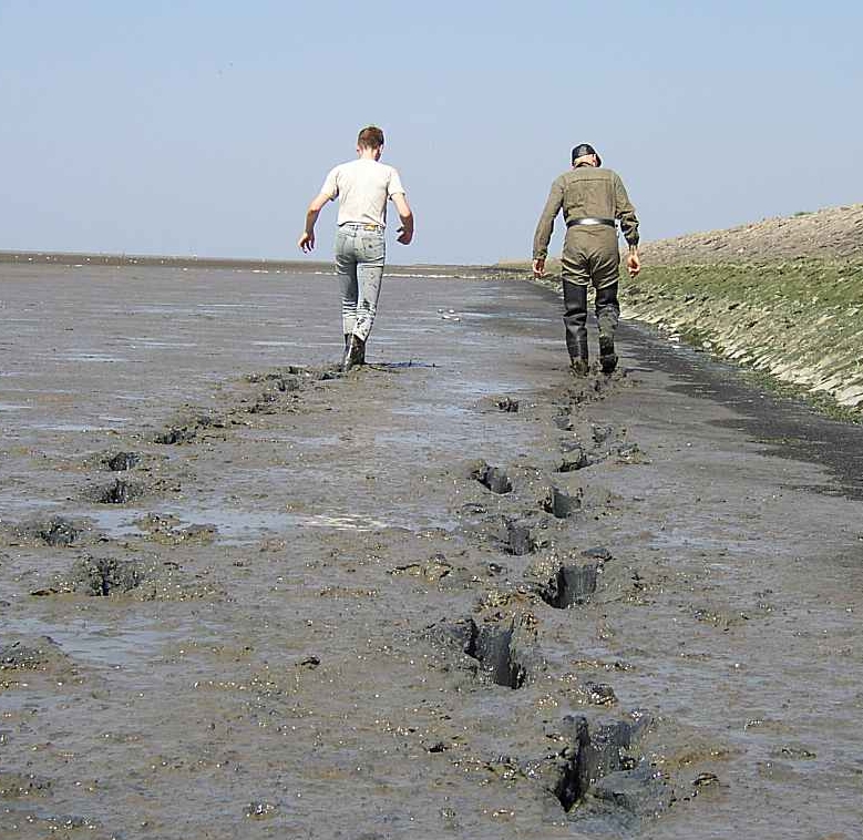 Словник “Лісова пісня” by Oleksandr - Ourboox.com