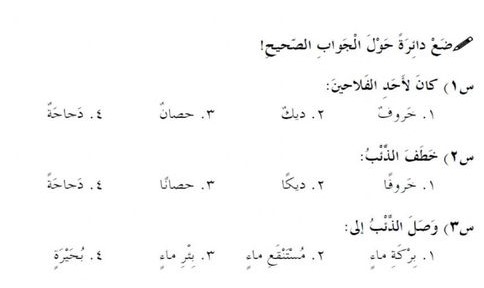 مراجعات فهم مقروء للصف الاول by shahed mohammad abu rabiah - Ourboox.com