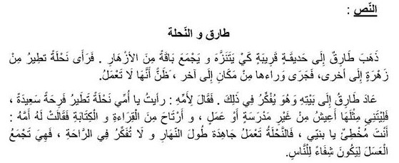 مراجعات فهم مقروء للصف الاول by shahed mohammad abu rabiah - Ourboox.com