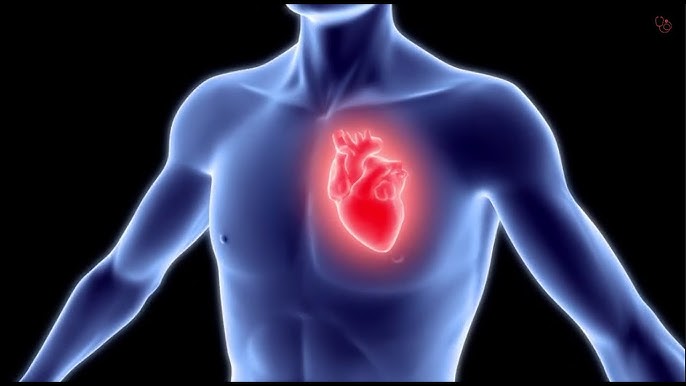 שפה עברית by reem - Ourboox.com