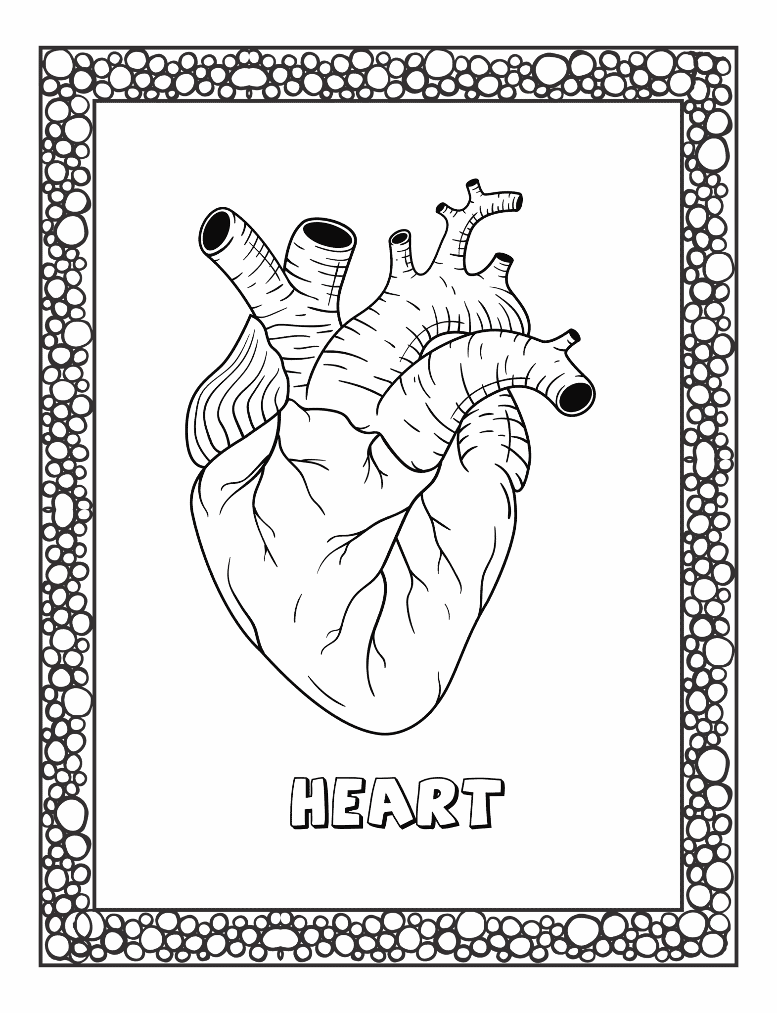 שפה עברית by reem - Ourboox.com