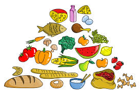 תזונה נכונה by priel - Ourboox.com