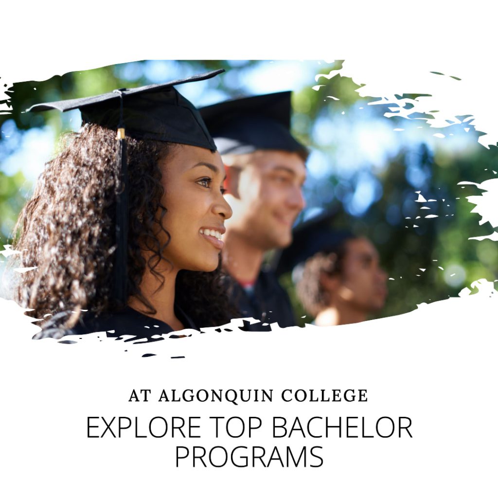 Top Bachelor Programs to Explore at Algonquin College