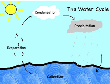 The Water Cycle by Anna Healey - Ourboox.com