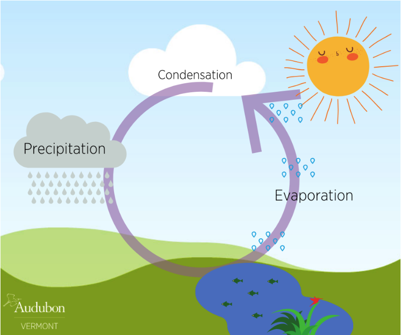 The Water Cycle by Anna Healey - Ourboox.com