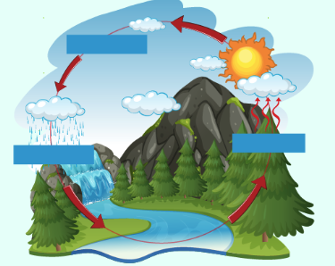 The Water Cycle by Anna Healey - Ourboox.com
