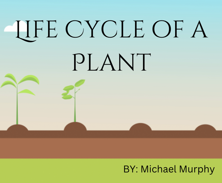 Life Cycle of a Plant by michael - Ourboox.com