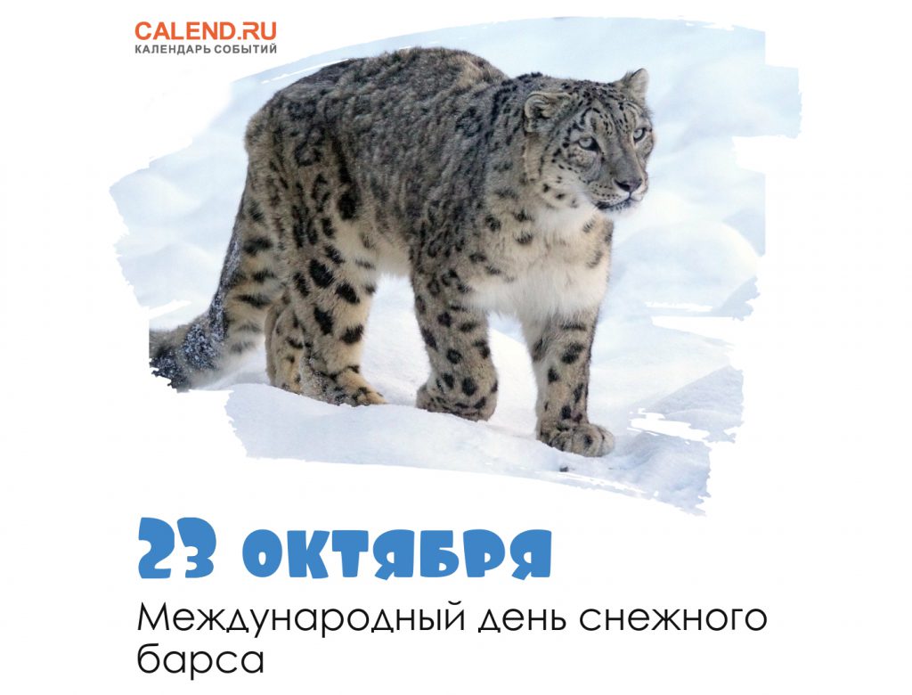 Снежный барс by Margarita Liachina - Illustrated by Лячина М.А. - Ourboox.com