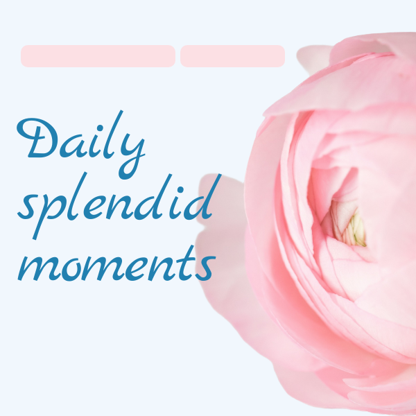 Daily splended moments by Lemara Borokhovich - Illustrated by Lemara Borokhovich - Ourboox.com