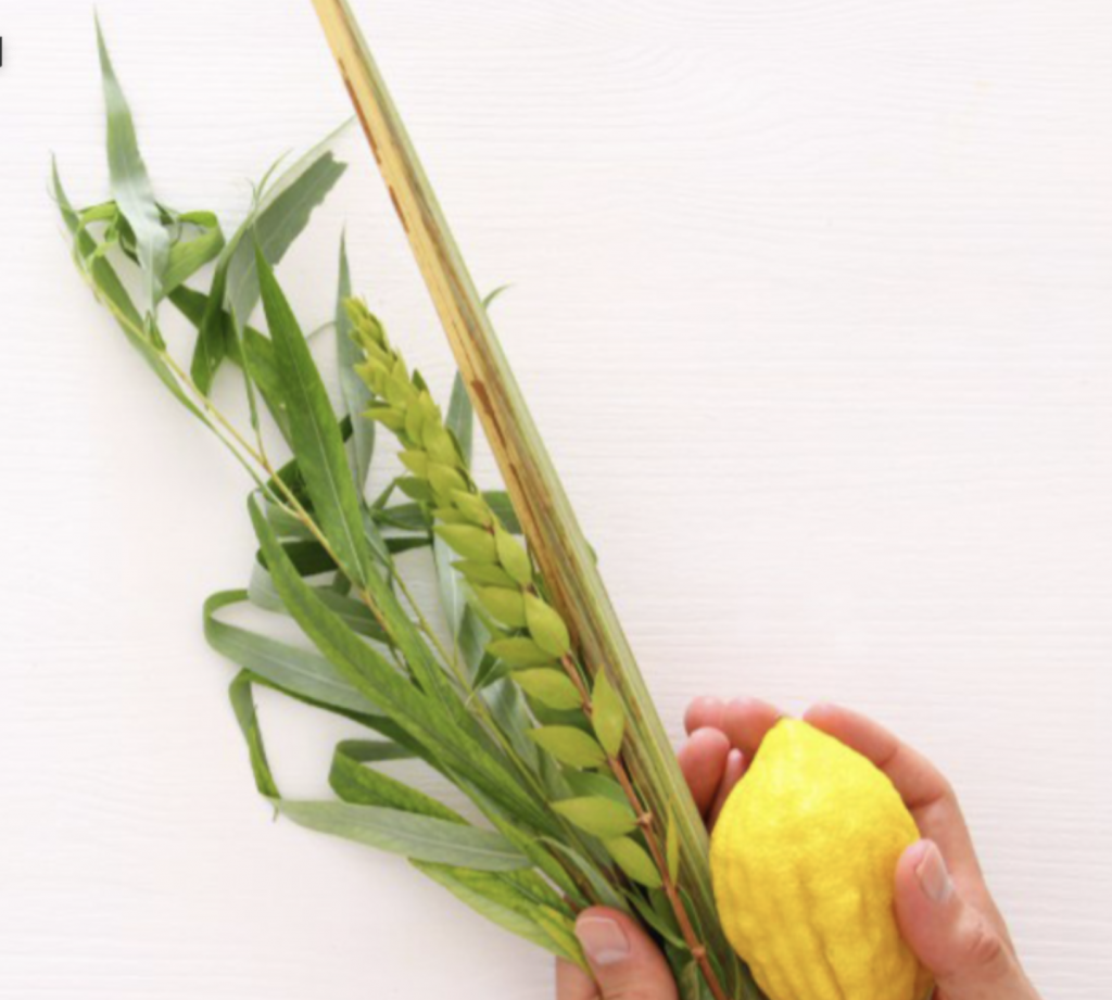 רבי יוחנן בן זכאי – ספר לילדים by ADI DAMTI - Ourboox.com