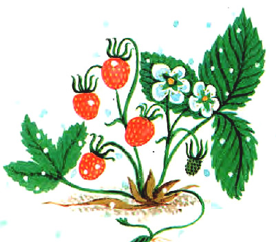 12 Місяців by Drabchak Viktorija - Ourboox.com