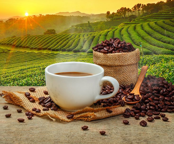 COFFEE SILA SUNA 23001536 by sıla suna - Ourboox.com