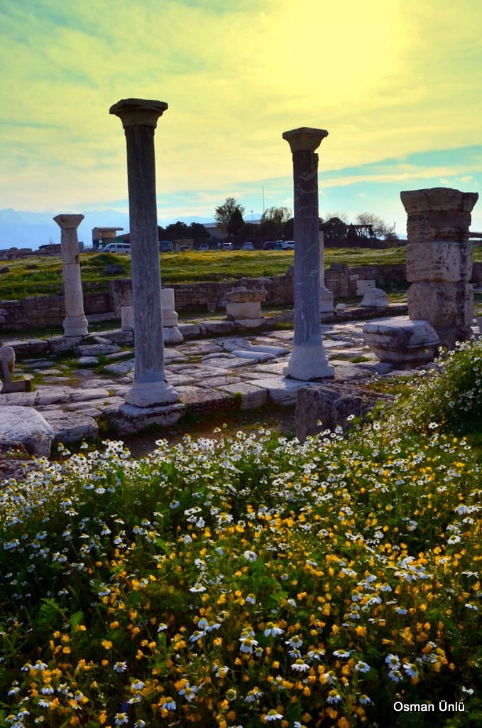 Museums by Nefise Demir - Ourboox.com