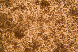 GEOMETRIKO by Prof. Didy - Ourboox.com