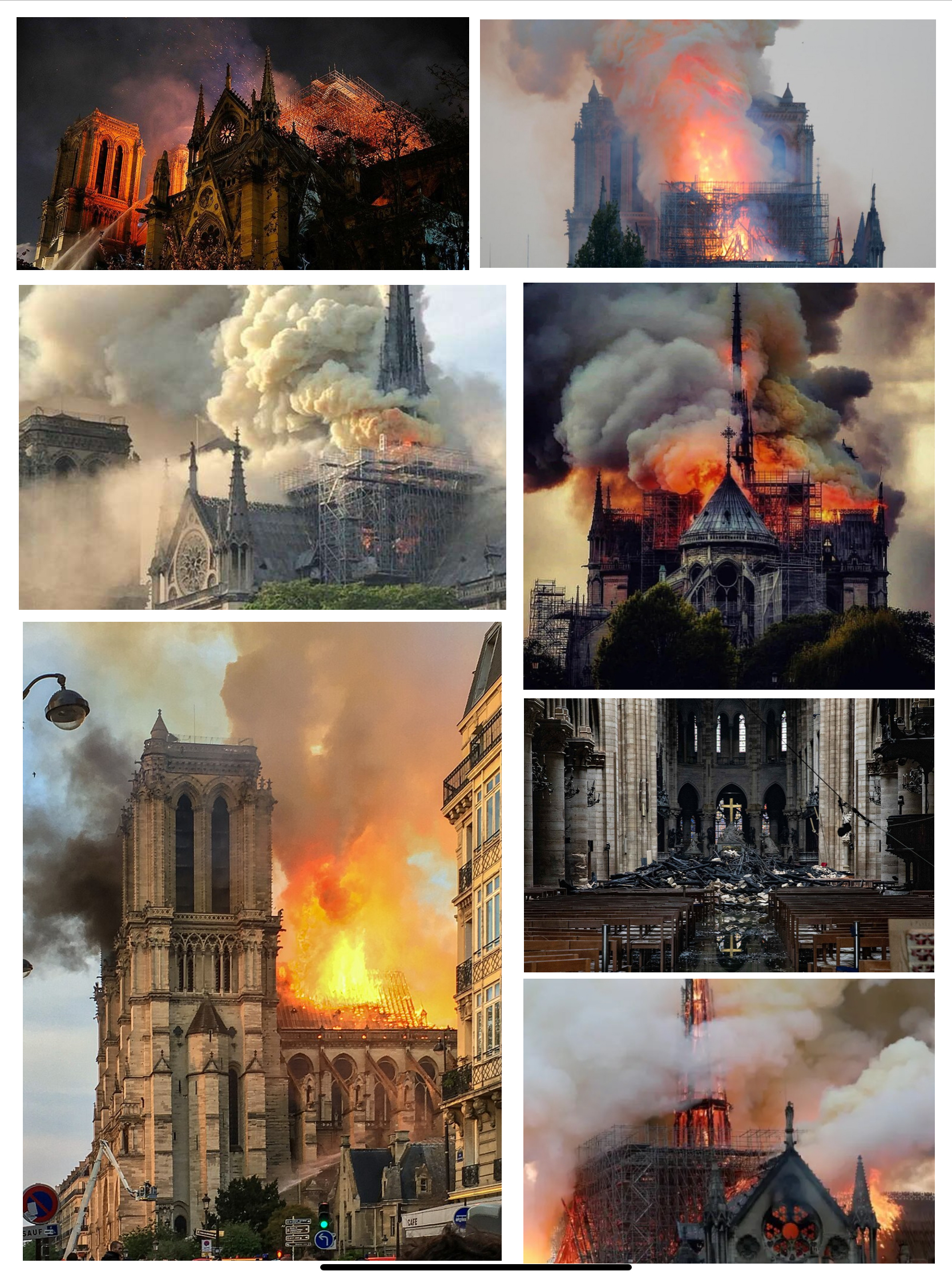 Notre-Dame de Paris by Olene Protasova - Ourboox.com