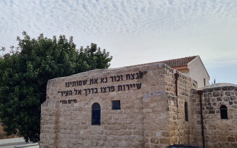 מגמת היסטוריה – יום עיון בעקבות לחימה יהודית by alon silfin - Illustrated by אלון סילפין - Ourboox.com