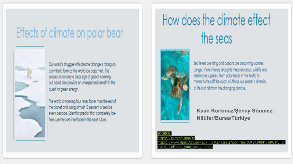 RELIABLE Raising Ecologically Literate Individuals And Being Leader in Ecology by Fahriye ÇOPUR - Illustrated by RELIABLE team - Ourboox.com