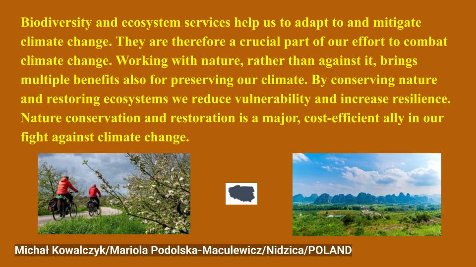 RELIABLE Raising Ecologically Literate Individuals And Being Leader in Ecology by Fahriye ÇOPUR - Illustrated by RELIABLE team - Ourboox.com