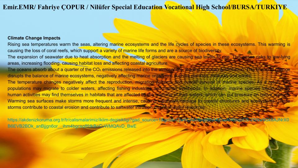 RELIABLE Raising Ecologically Literate Individuals And Being Leader in Ecology by Fahriye ÇOPUR - Illustrated by RELIABLE team - Ourboox.com