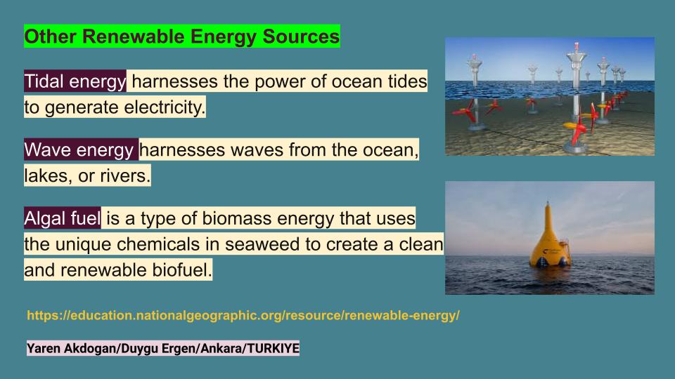 RELIABLE Raising Ecologically Literate Individuals And Being Leader in Ecology by Fahriye ÇOPUR - Illustrated by RELIABLE team - Ourboox.com