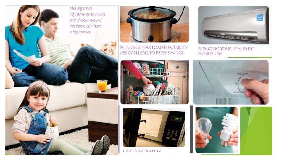 RELIABLE Raising Ecologically Literate Individuals And Being Leader in Ecology by Fahriye ÇOPUR - Illustrated by RELIABLE team - Ourboox.com