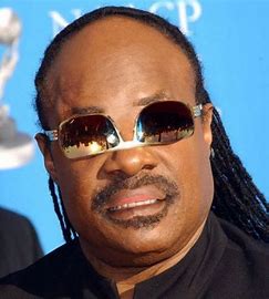 “Sir Duke” -Stevie Wonder by Noga Zilbershtein - Ourboox.com