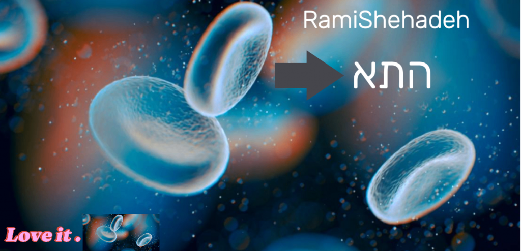 מבנה התא הביולוגי by ramishehadeh - Illustrated by ר.שחאדה - Ourboox.com