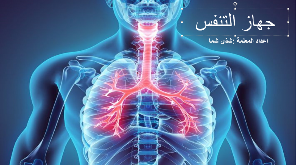 جهاز التنفس by shada shamma - Illustrated by اعداد المعلمة : شذى شما  - Ourboox.com