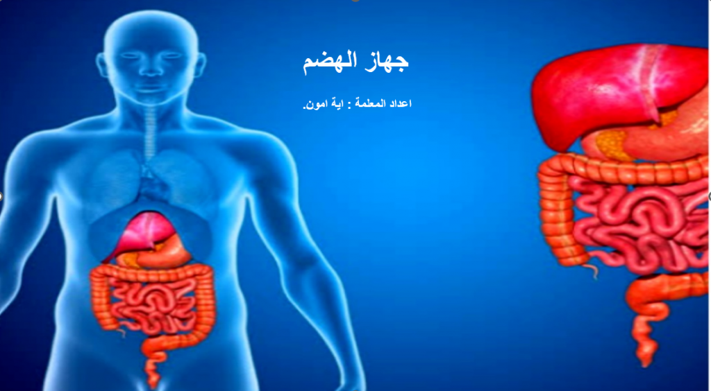 جهاز الهضم by ayaamon - Illustrated by اعداد المعلمة: اية امون - Ourboox.com