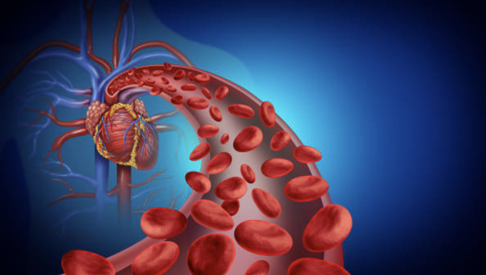 جهاز النقل by rahafbadarneh - Illustrated by اعداد المعلمة : رهف بدارنة  - Ourboox.com