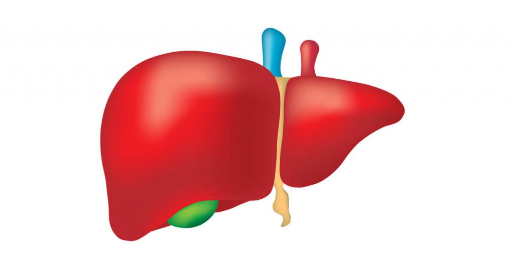 جهاز الهضم by ayaamon - Illustrated by اعداد المعلمة: اية امون - Ourboox.com