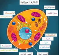 الخلية by shhed - Illustrated by اعداد المعلمة : شهد عيسى  - Ourboox.com
