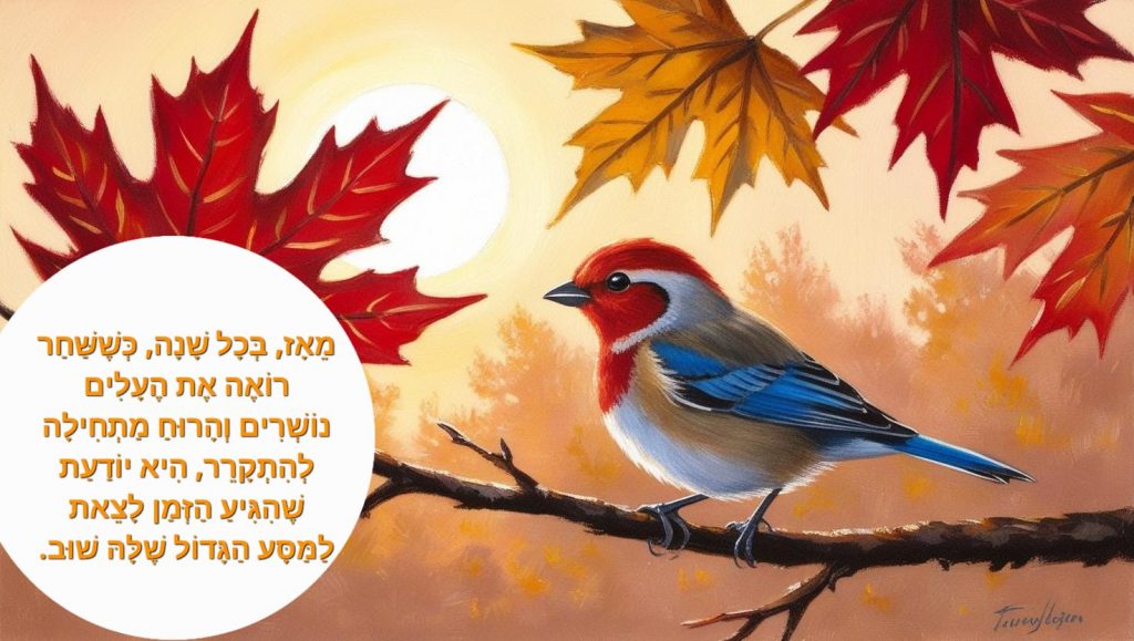 הַמַּסָּע שֶׁל שַׁחַר הַצִּפּוֹר by KAWTHER - Ourboox.com