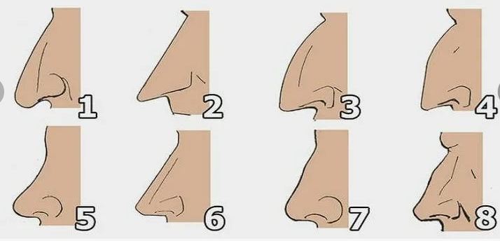 Describing Appearance: See and Say! by Irina Eliseeva - Illustrated by Irina Eliseeva - Ourboox.com