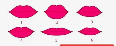 Describing Appearance: See and Say! by Irina Eliseeva - Illustrated by Irina Eliseeva - Ourboox.com