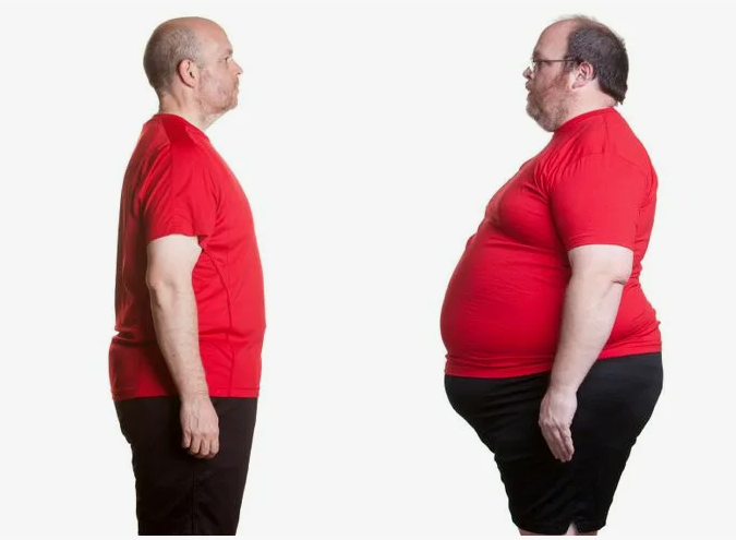 Describing Appearance: See and Say! by Irina Eliseeva - Illustrated by Irina Eliseeva - Ourboox.com