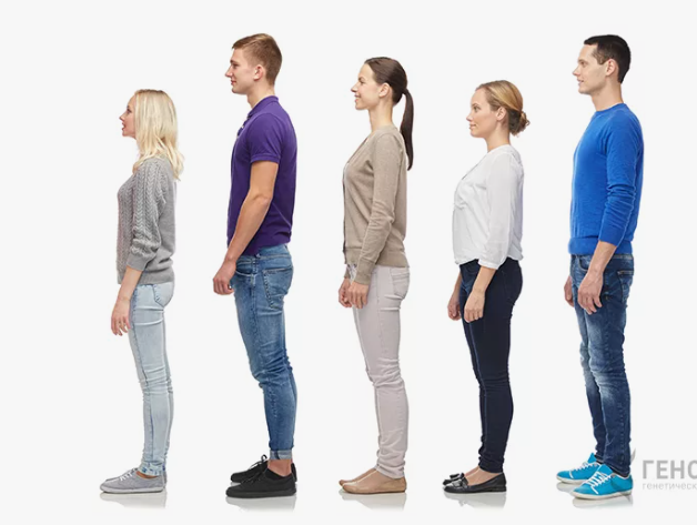 Describing Appearance: See and Say! by Irina Eliseeva - Illustrated by Irina Eliseeva - Ourboox.com