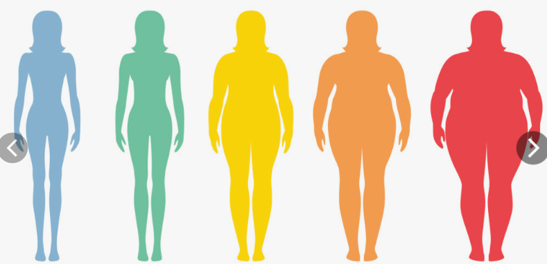 Describing Appearance: See and Say! by Irina Eliseeva - Illustrated by Irina Eliseeva - Ourboox.com